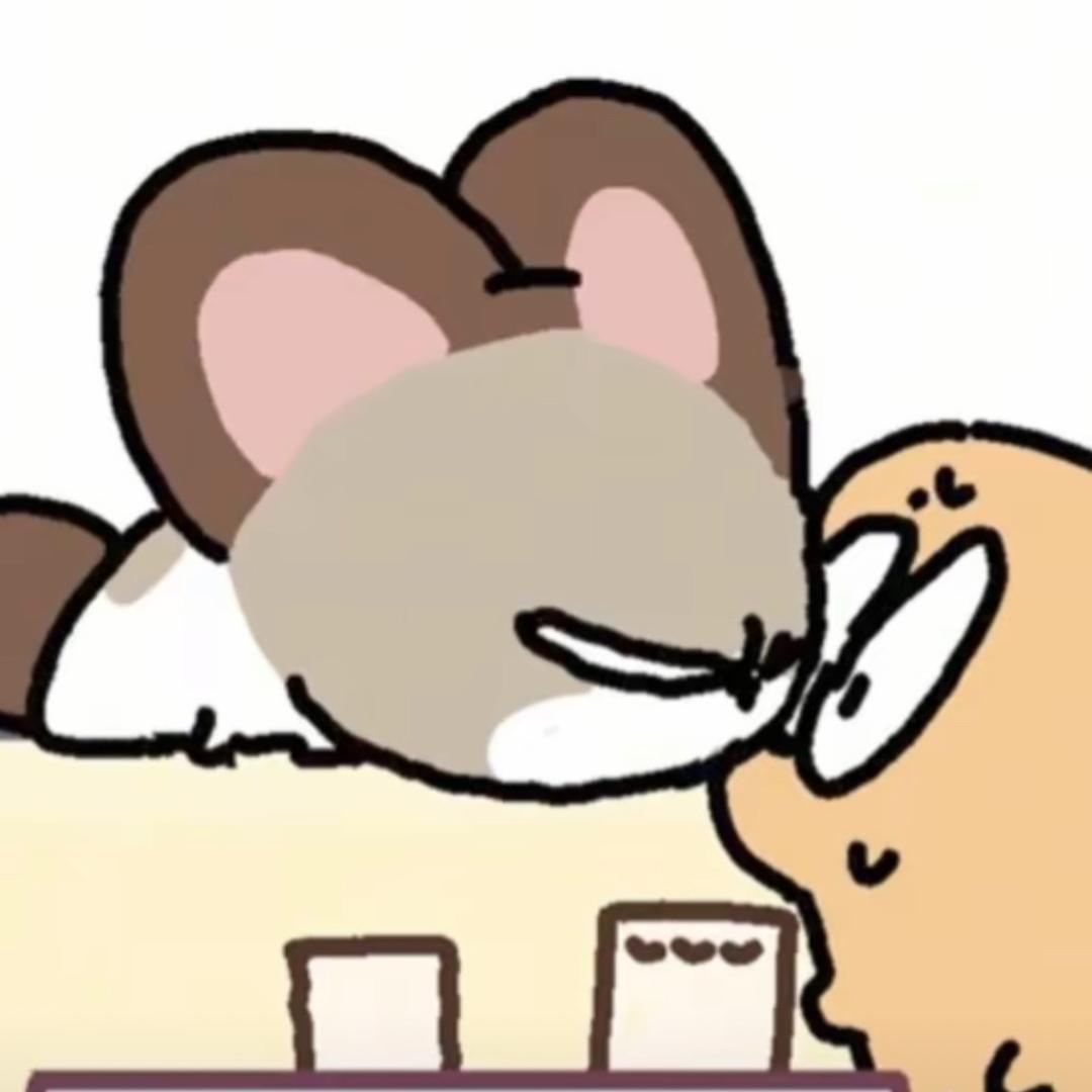 找小猫