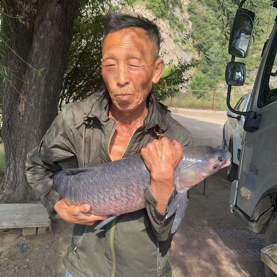 抚顺搏鱼钓场