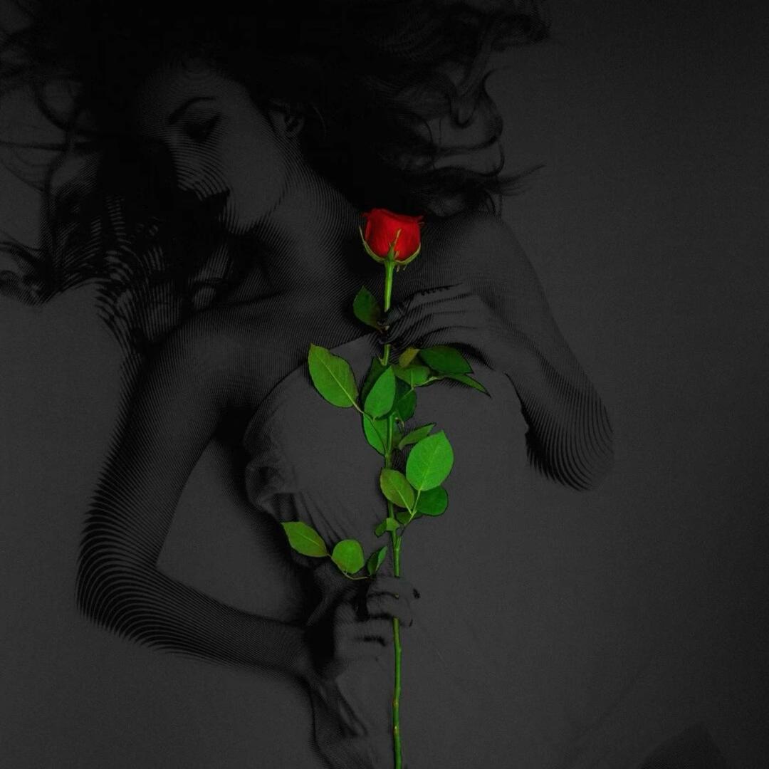 欣宝儿 汉唐111号