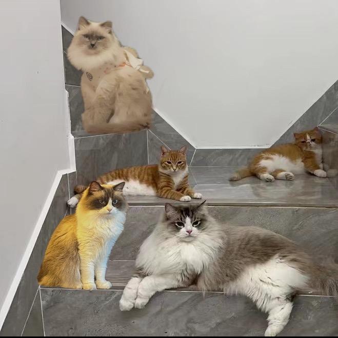 南瓜爱吃泡面面