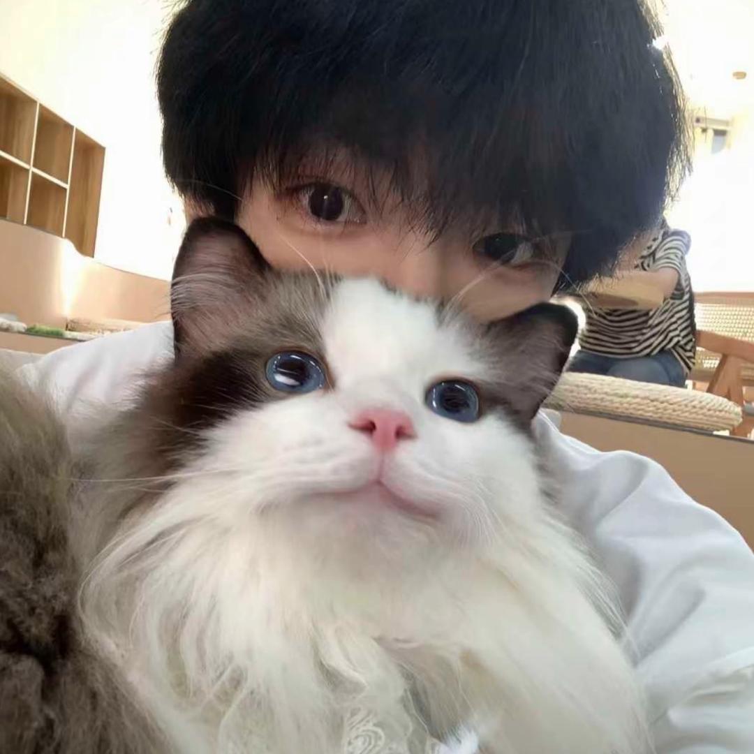 如果爱比泪水多