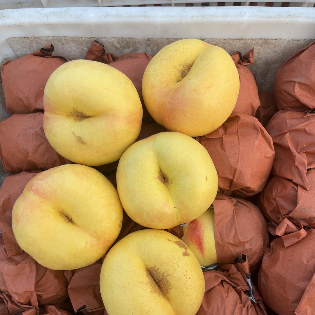 沂蒙果蔬优品店