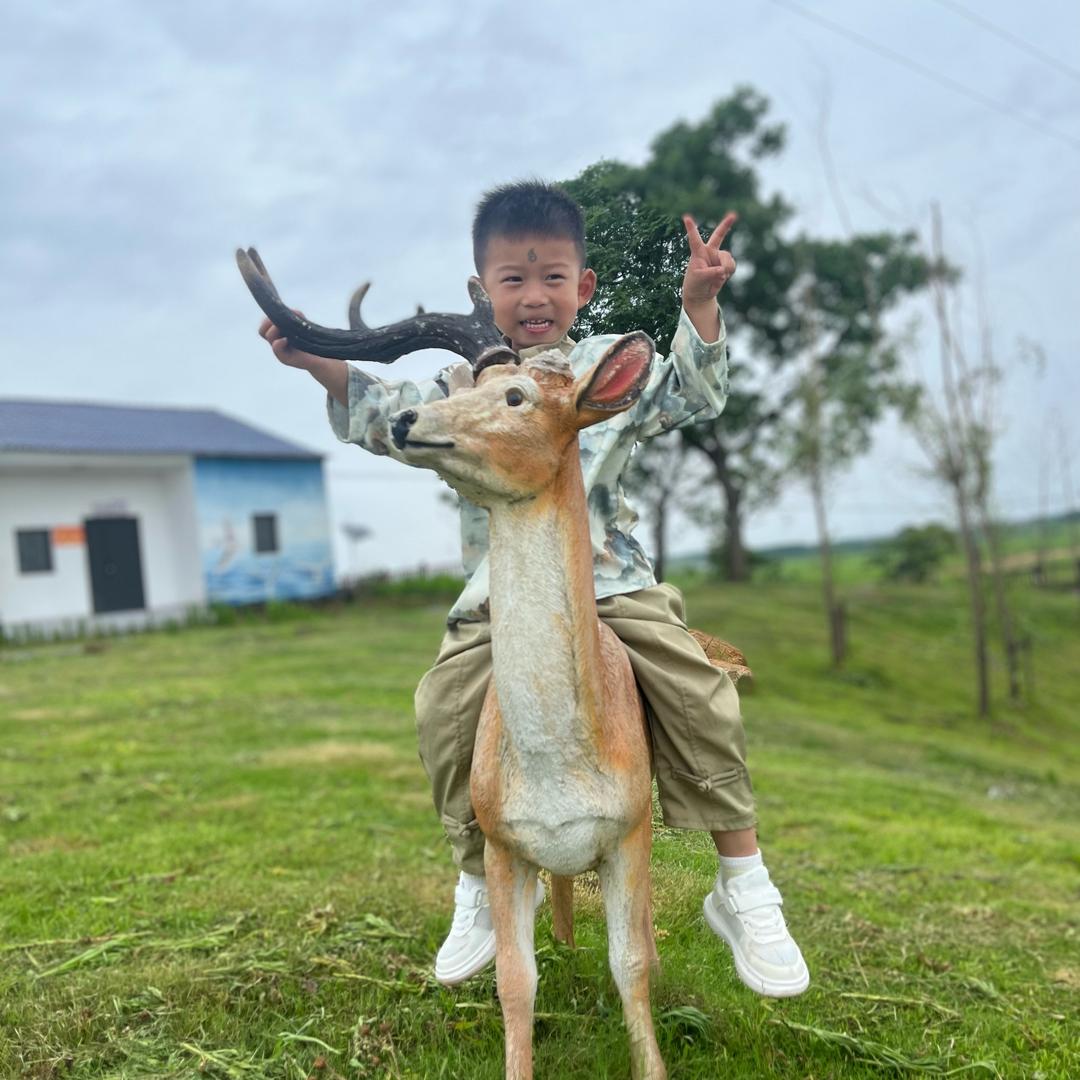 羽羽羽羽羽羽🌟