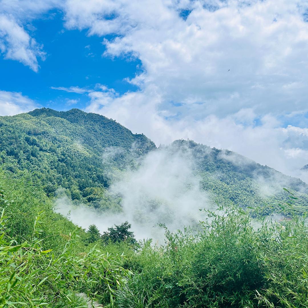 仙女会发光🧚‍♀️