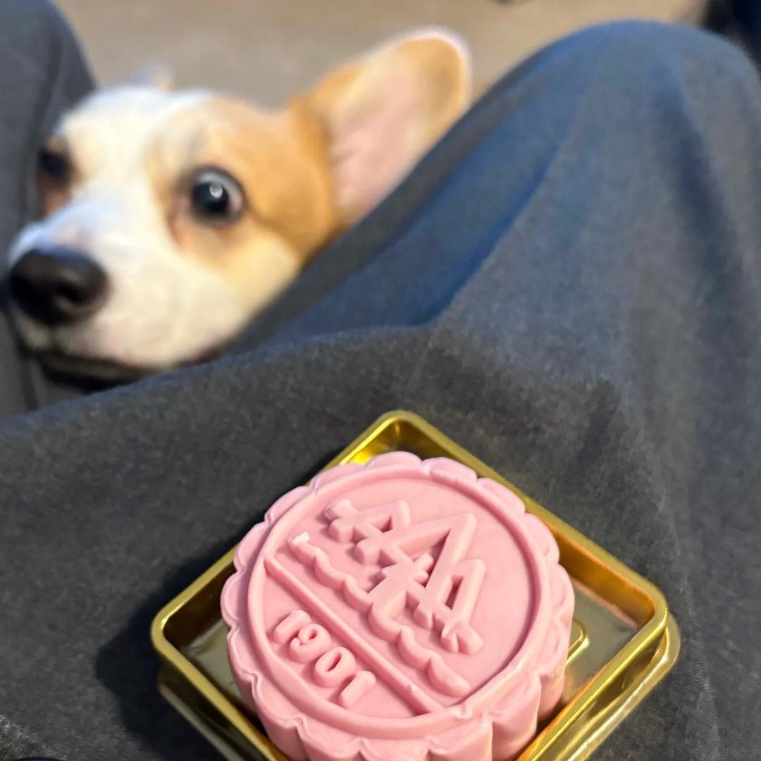 何小名🤶（熹妃回宫版）