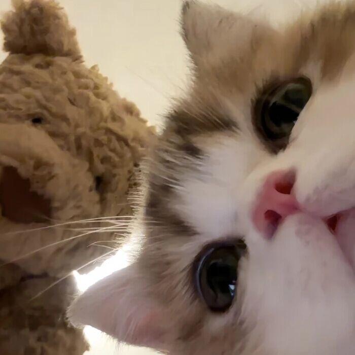 🤗