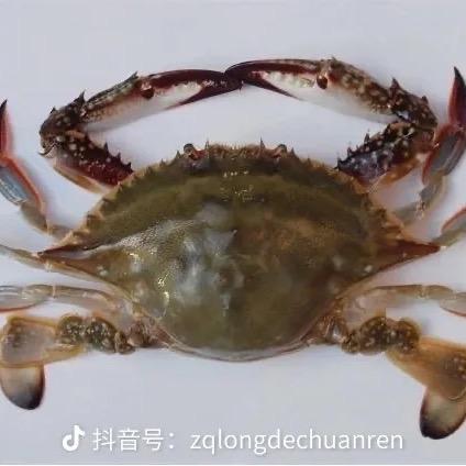 吕四港海鲜一手货源全国批发