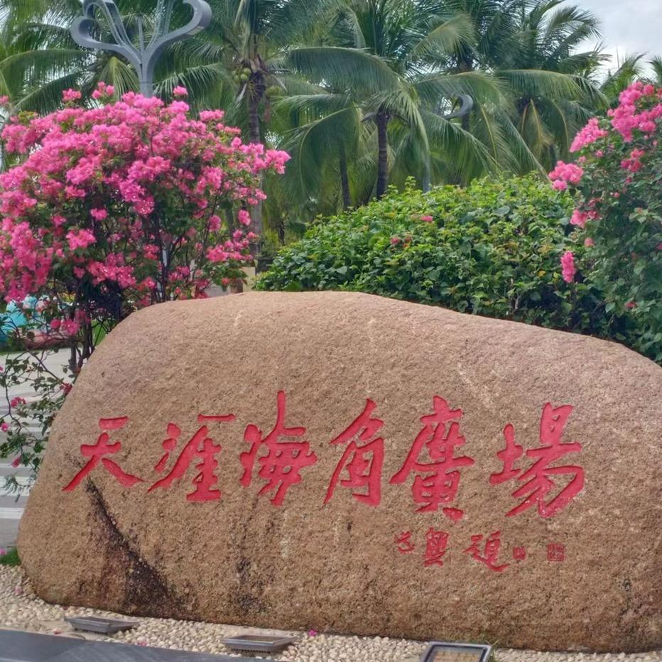 厨师也疯狂