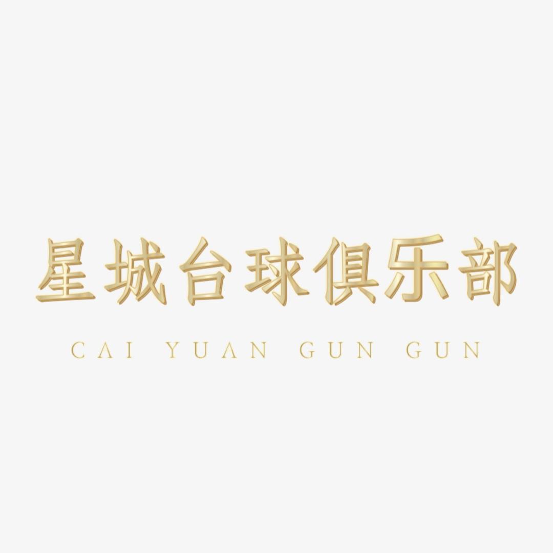 星城台球棋牌（城北店）