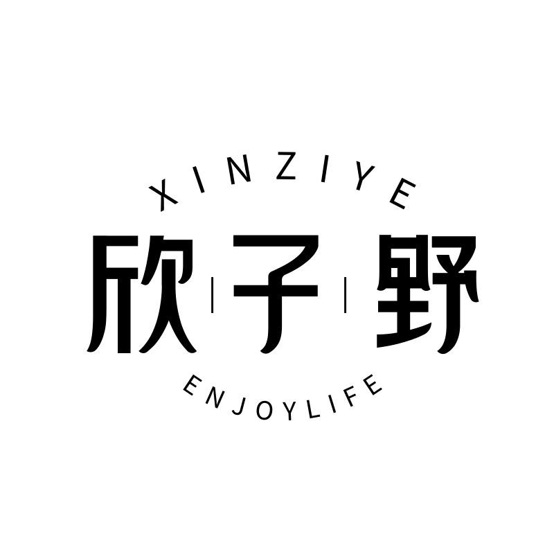XINZIYE.