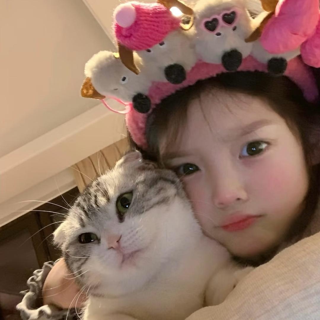 冷冰冰🧊