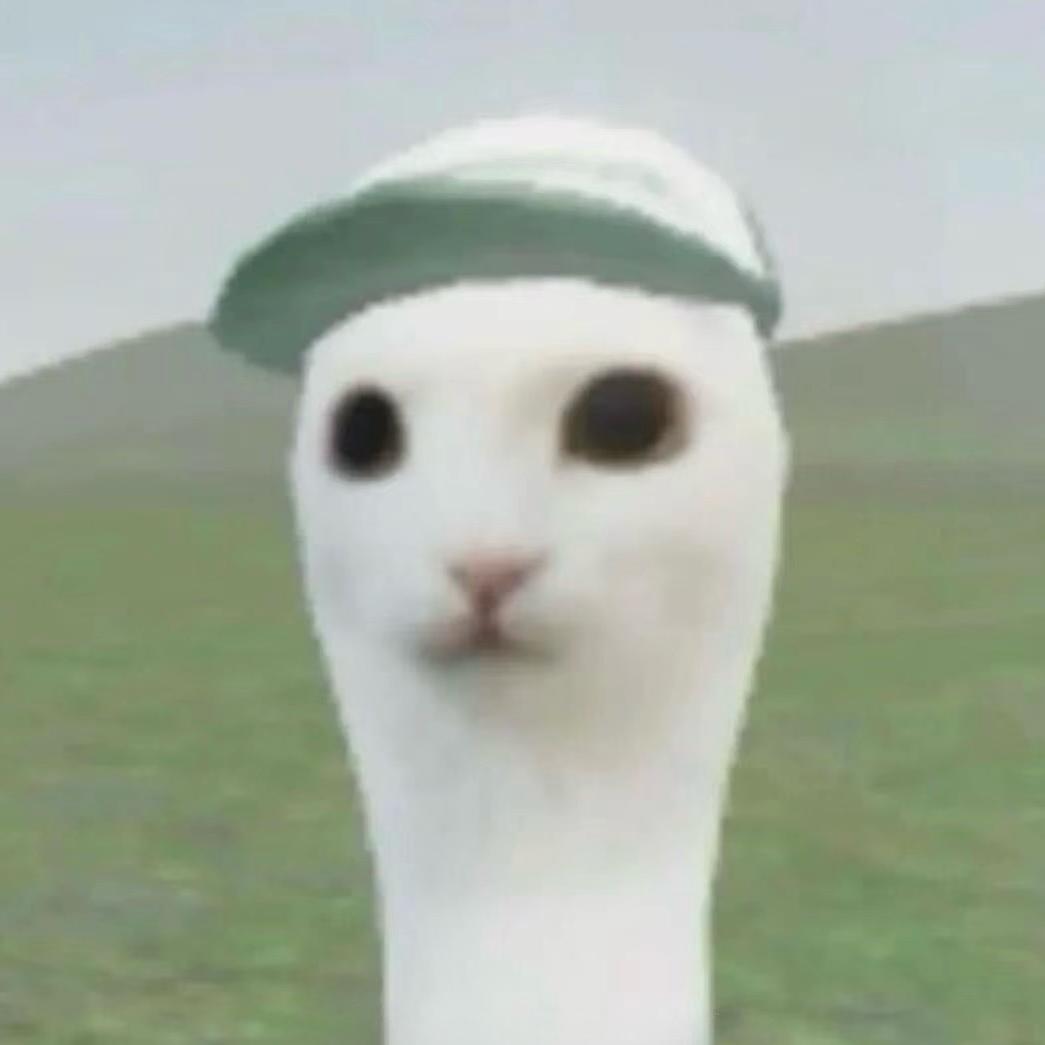 睡觉