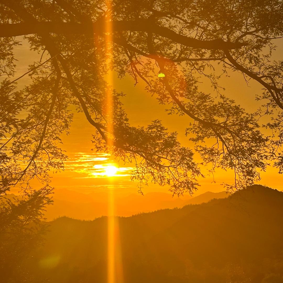 ᦗᩚ清晨ᰔᩚˎˊ˗