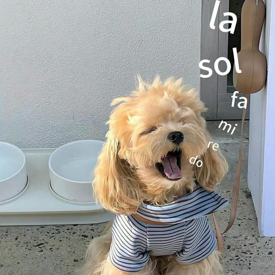 唔西迪西好物