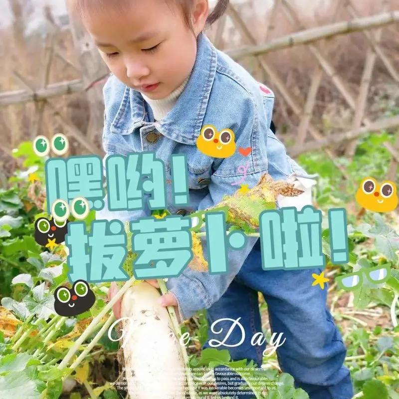 萝卜百科