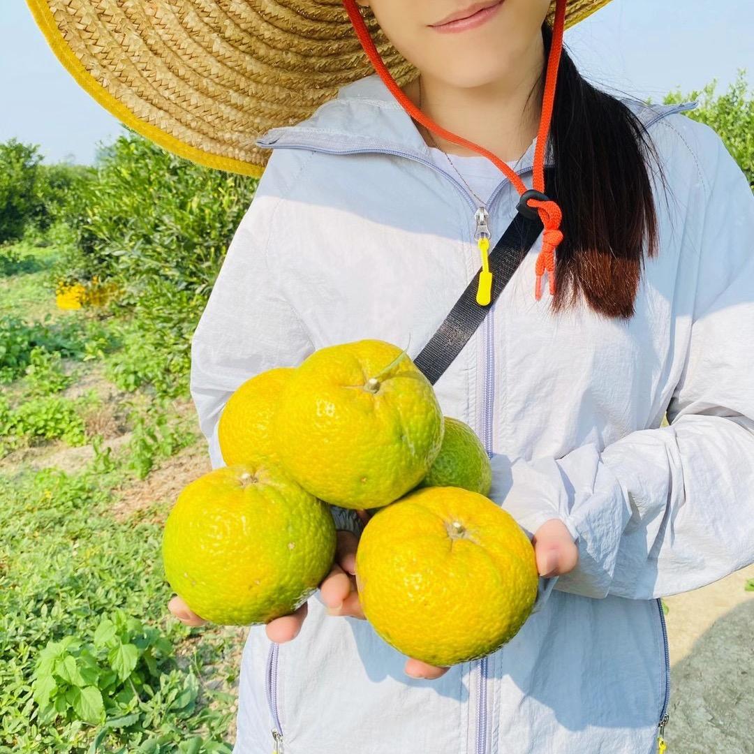 红红的柑子皮