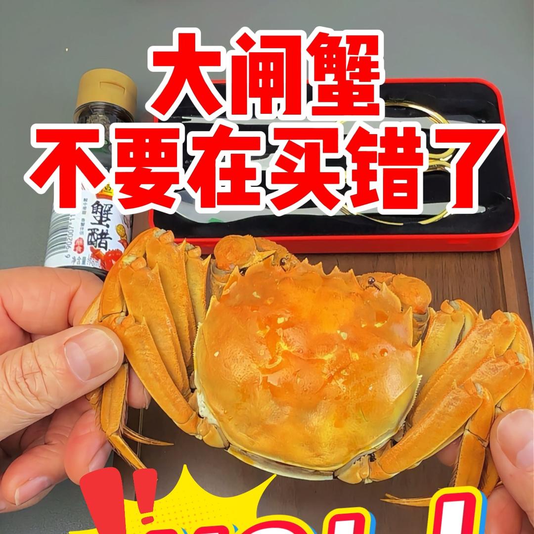 江苏红膏大闸蟹