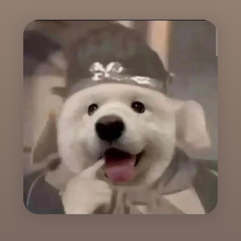 书乐