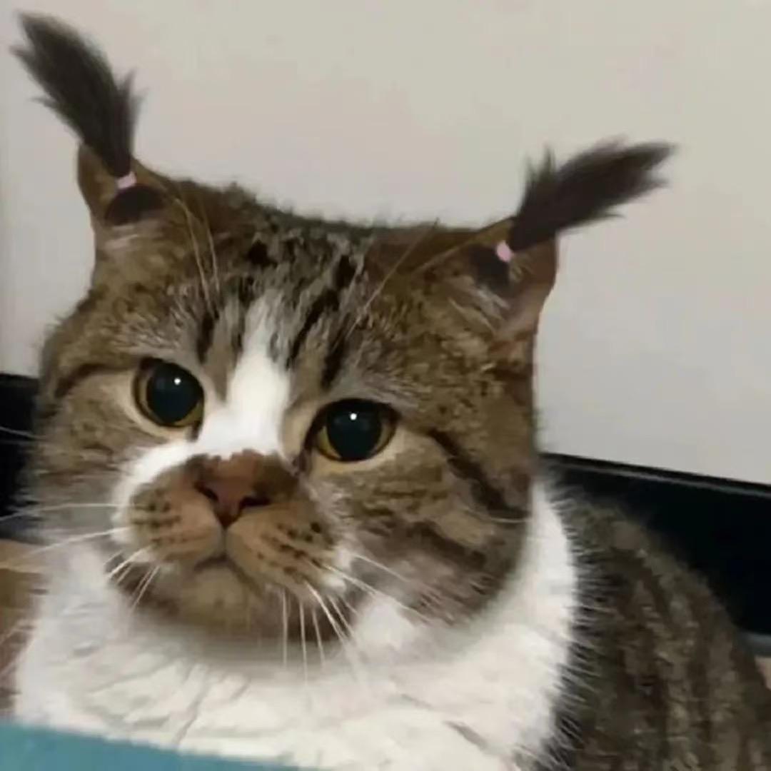 ouo