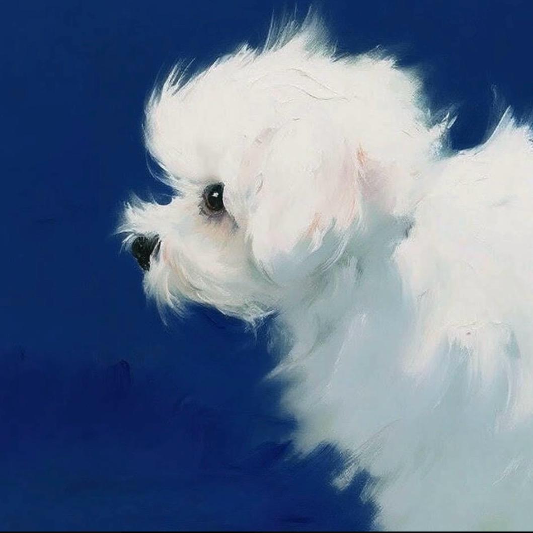 好像
