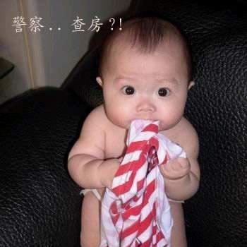 @阿拉蕾