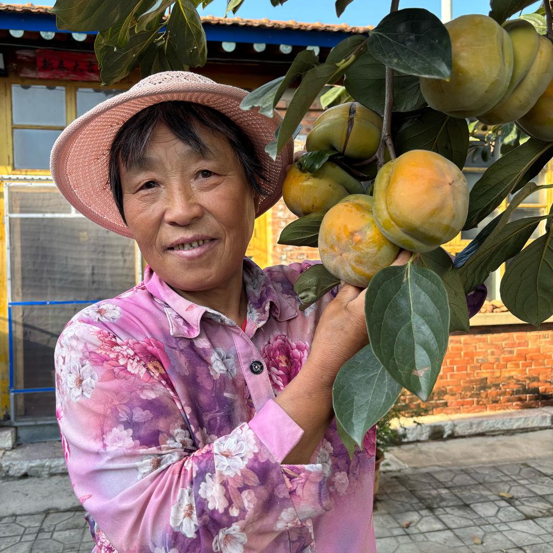 香河大妈
