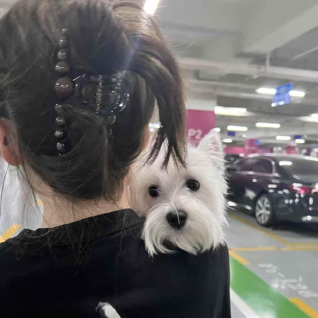 不发脾气只发财🙂‍↔️