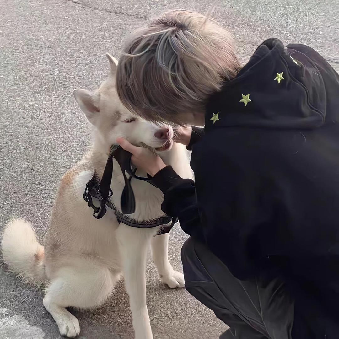怀里.