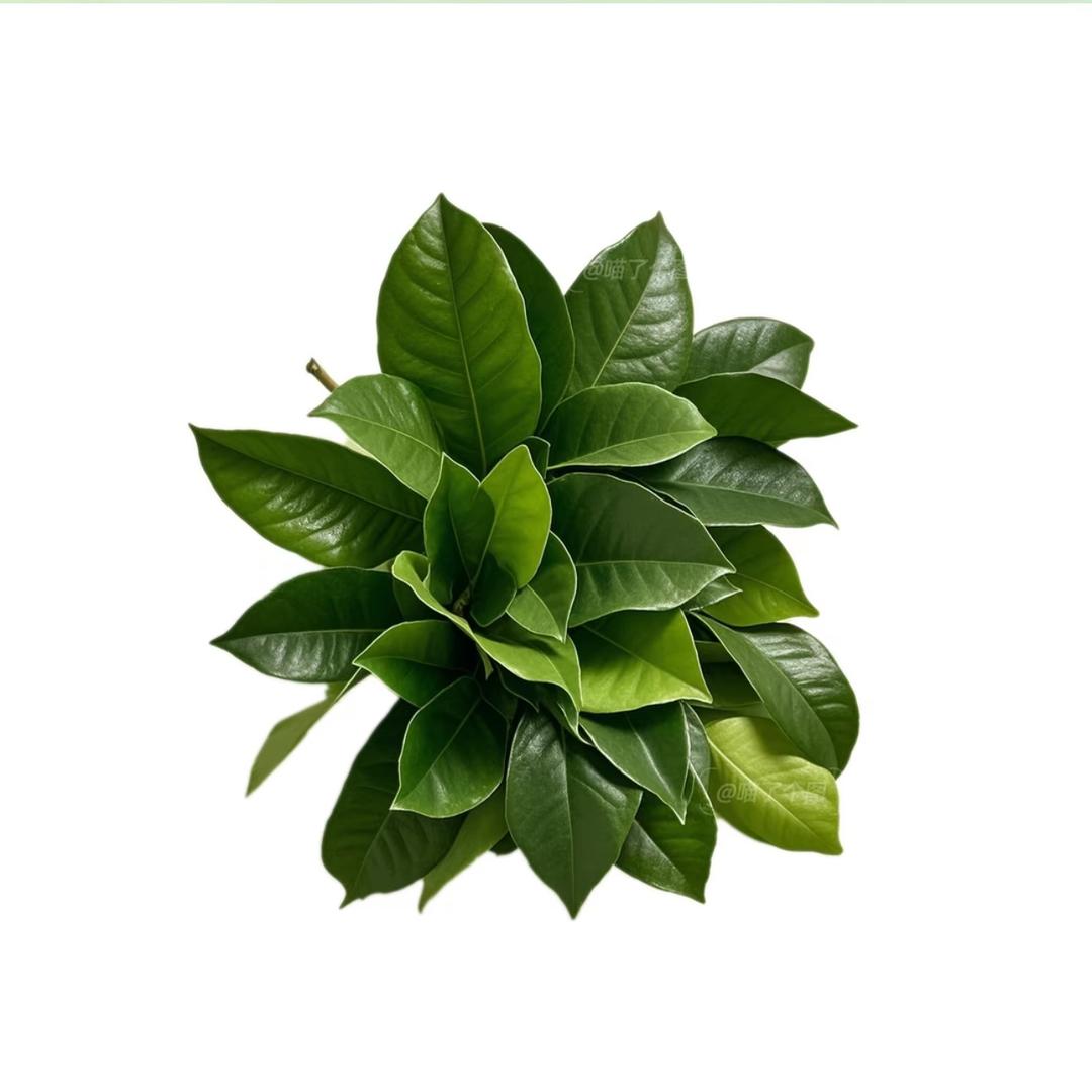 瘦一点🫧