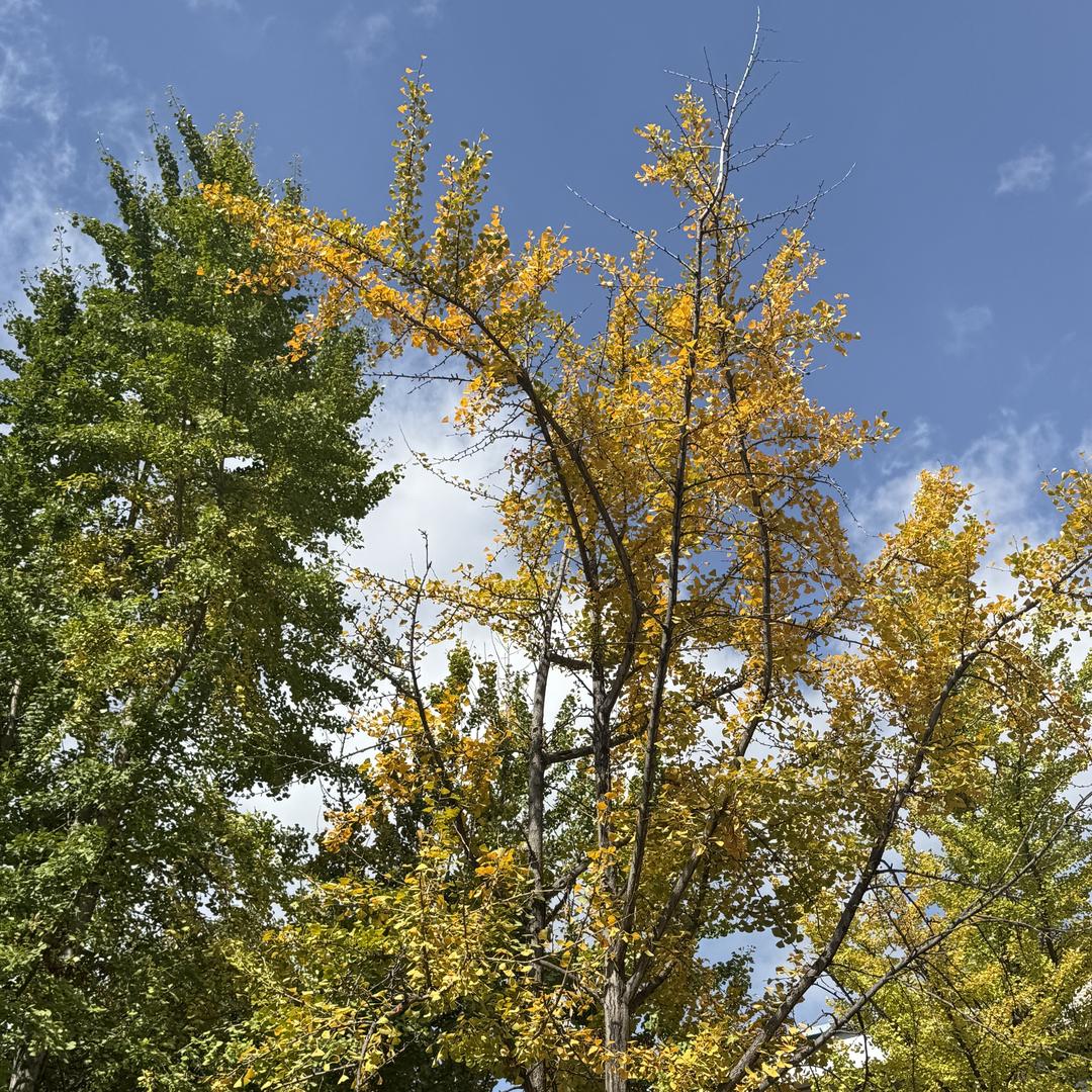 沈澍泓甄选市集