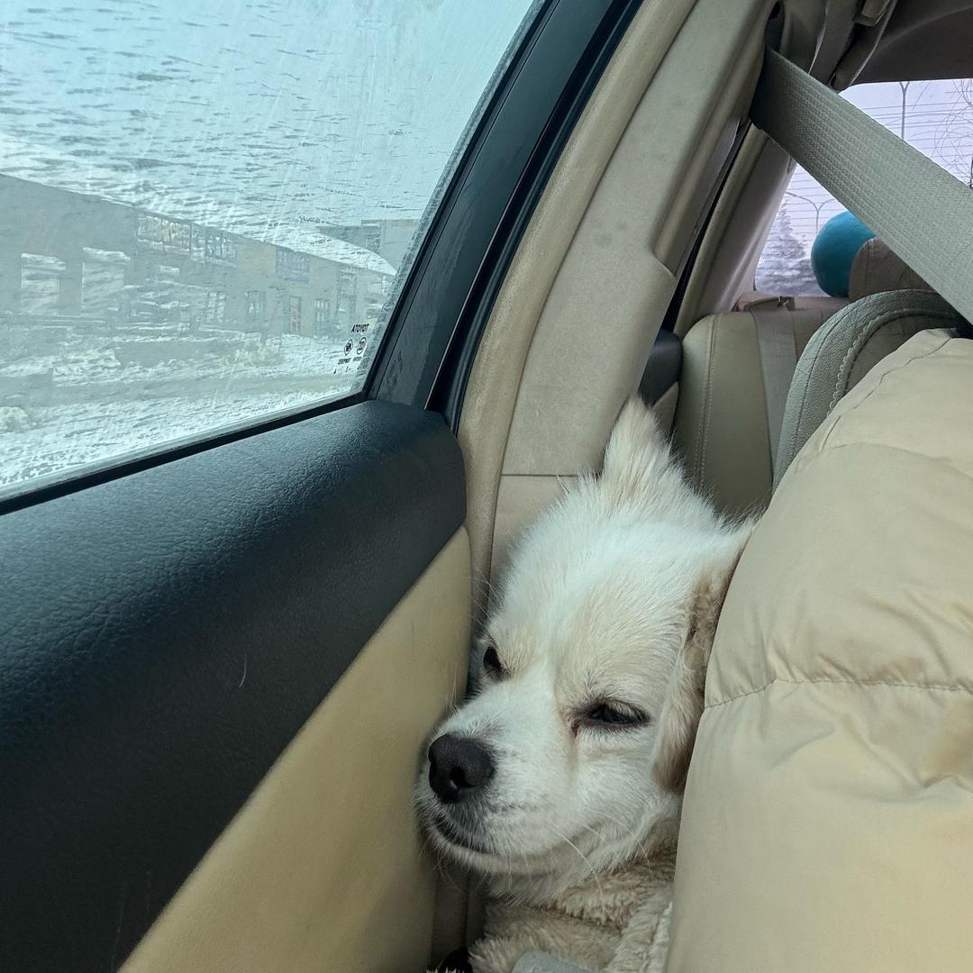 仙贝哈