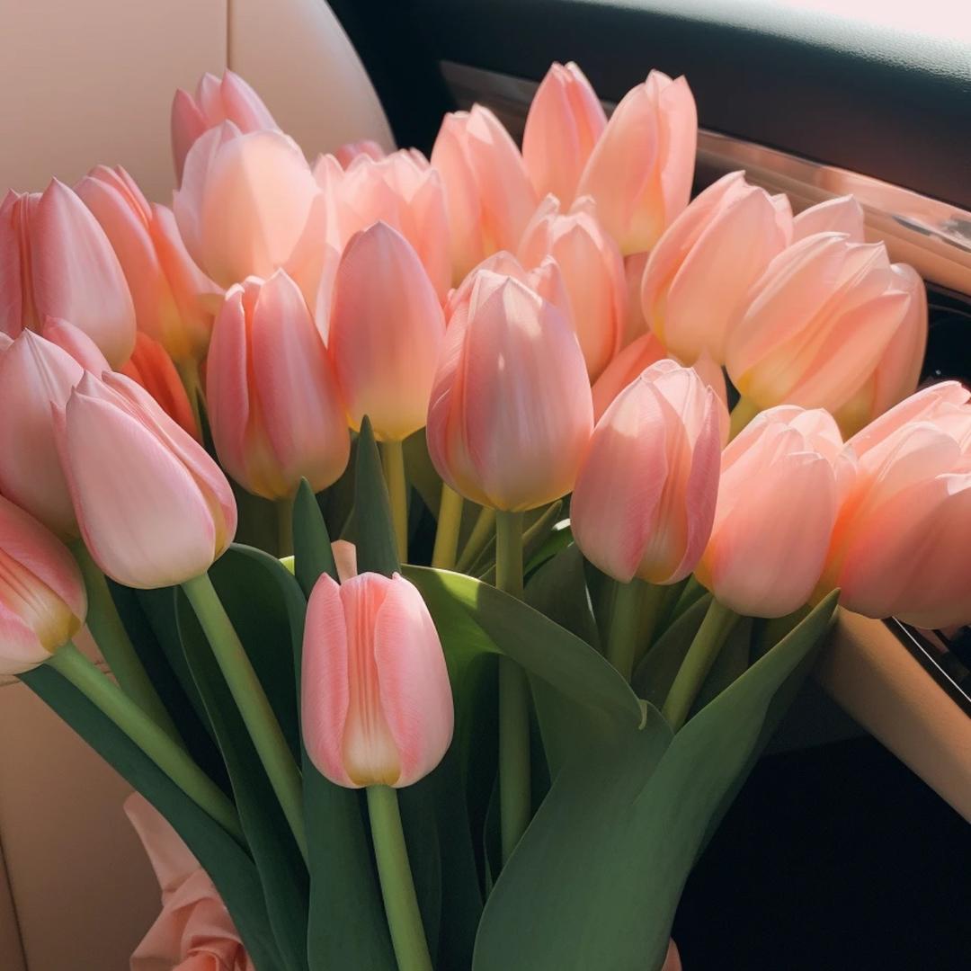 木木の木木🌷