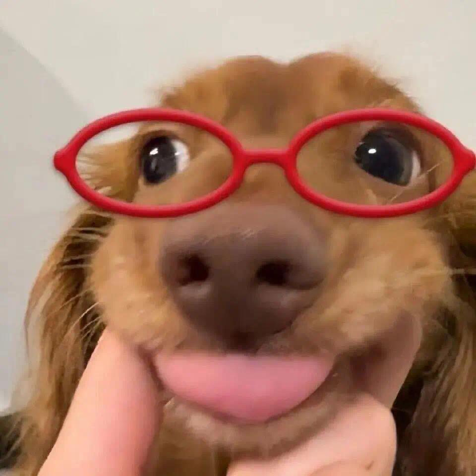 蒜泥白肉肉