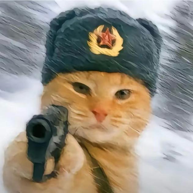 CONGTOUKASHI