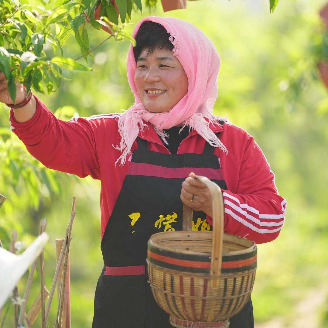 不慌姐