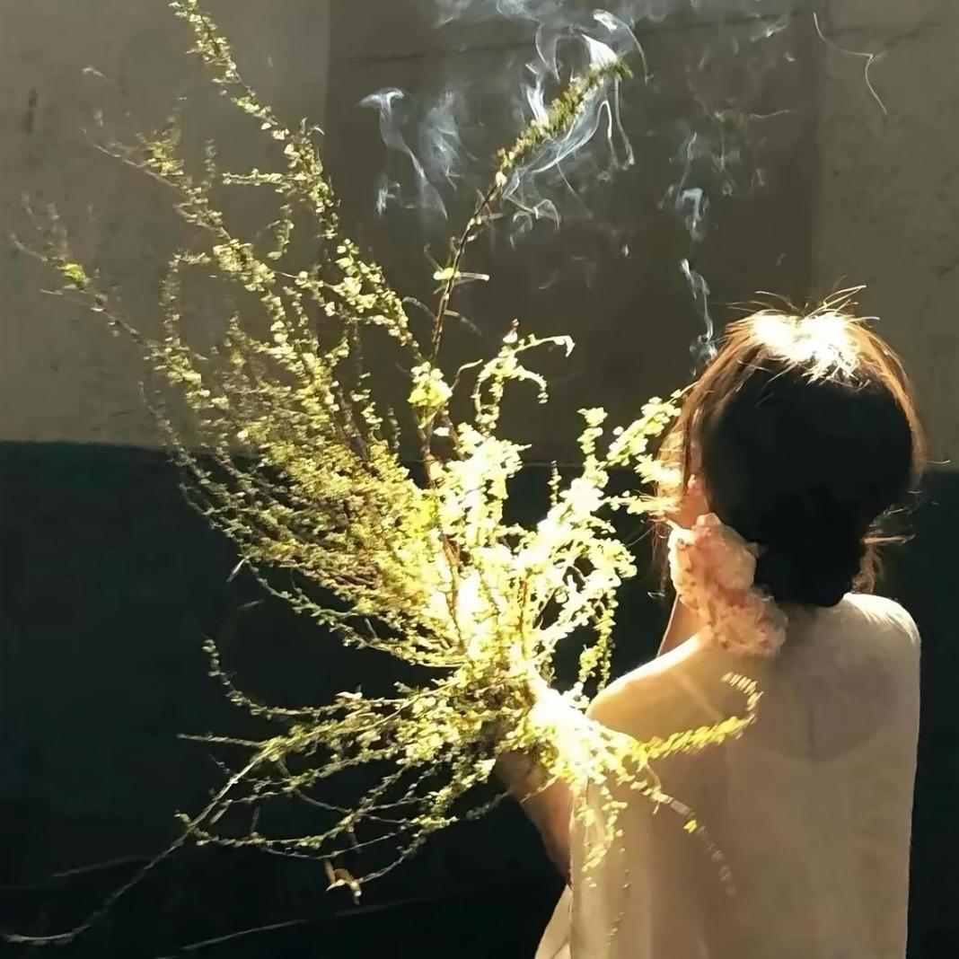 橘喵🍊橘子茶🐳