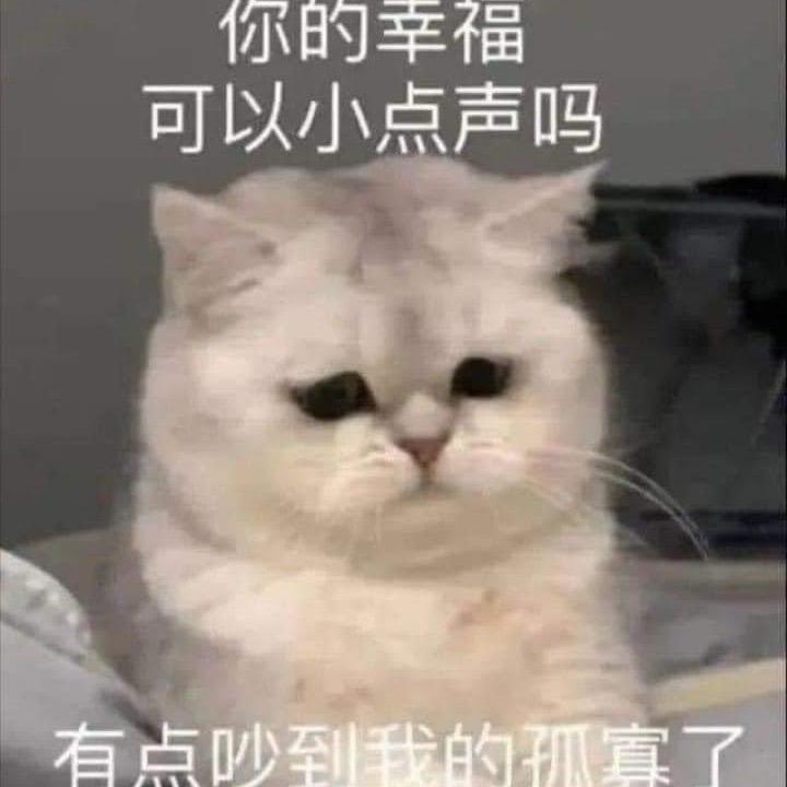 𓆸leoorzzzz头像