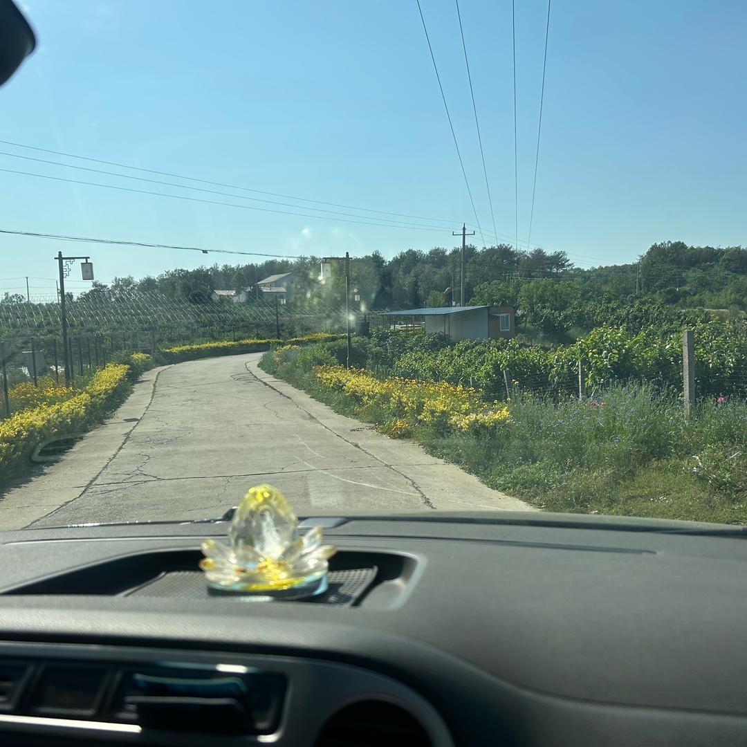 五粮液(纸坊大街店)武汉市焉贺琪设计馆二直播号