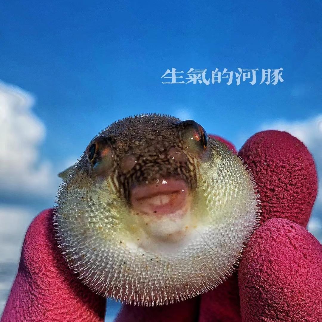 阿顺（海钓赶海俱乐部）