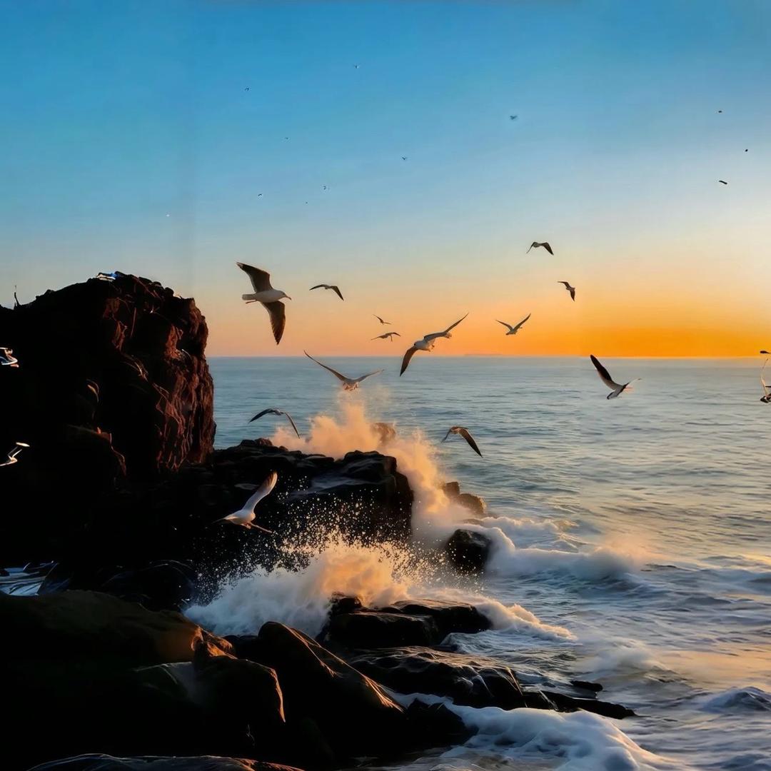 深情的浪漫土狗