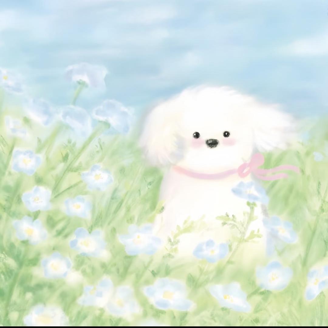 小梨：
