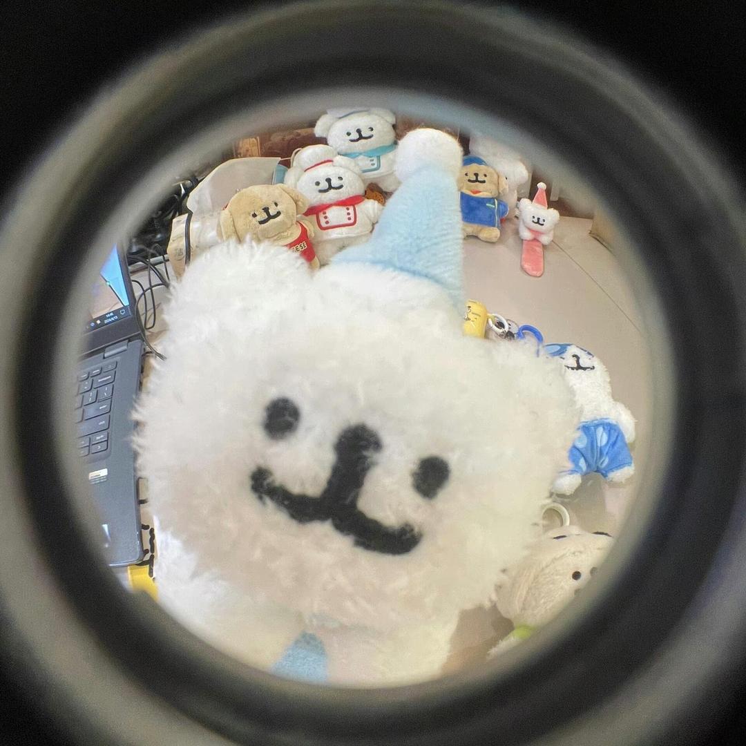 pp