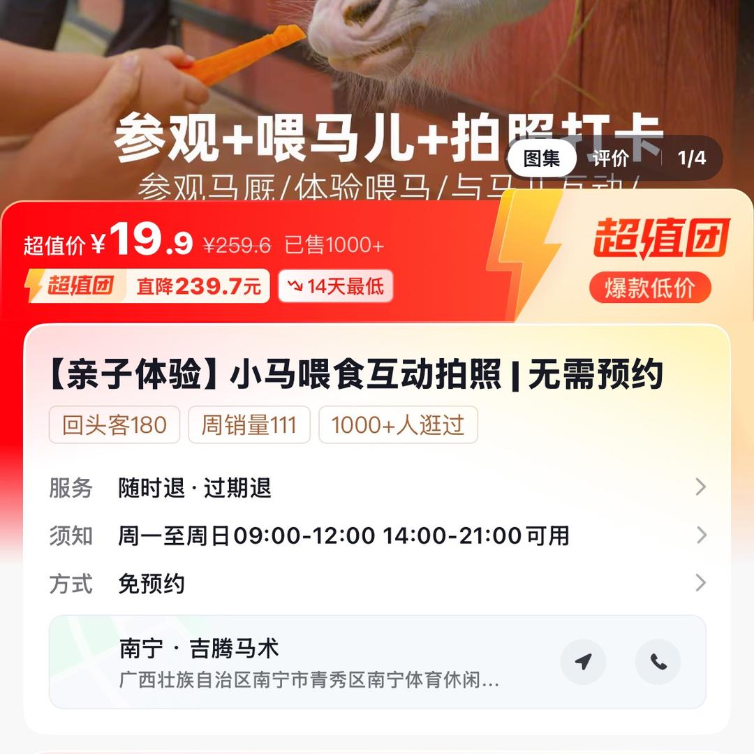 小马喂食