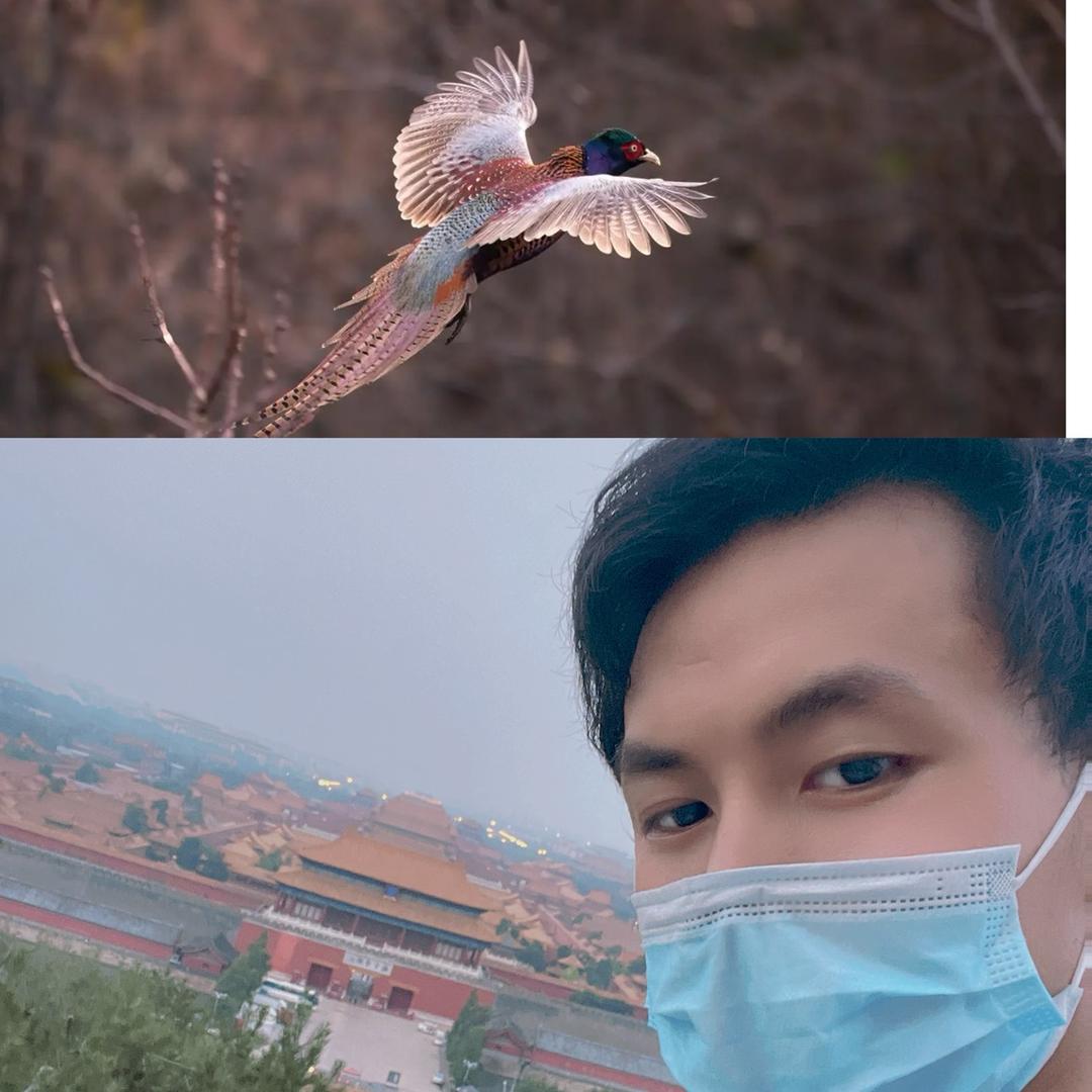 林宇农场