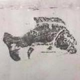 妙胜桥·方轩