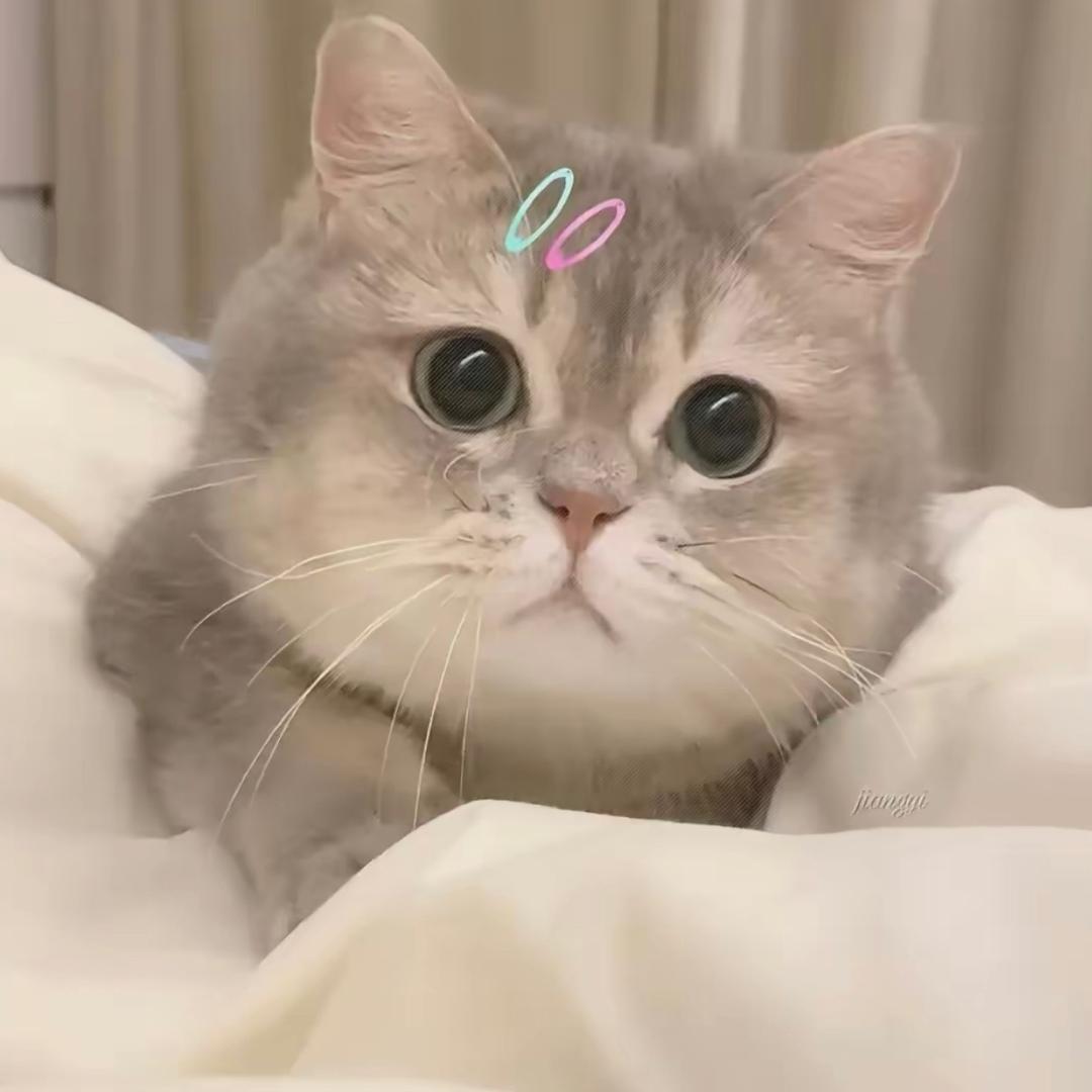 芸阙电商2-小云