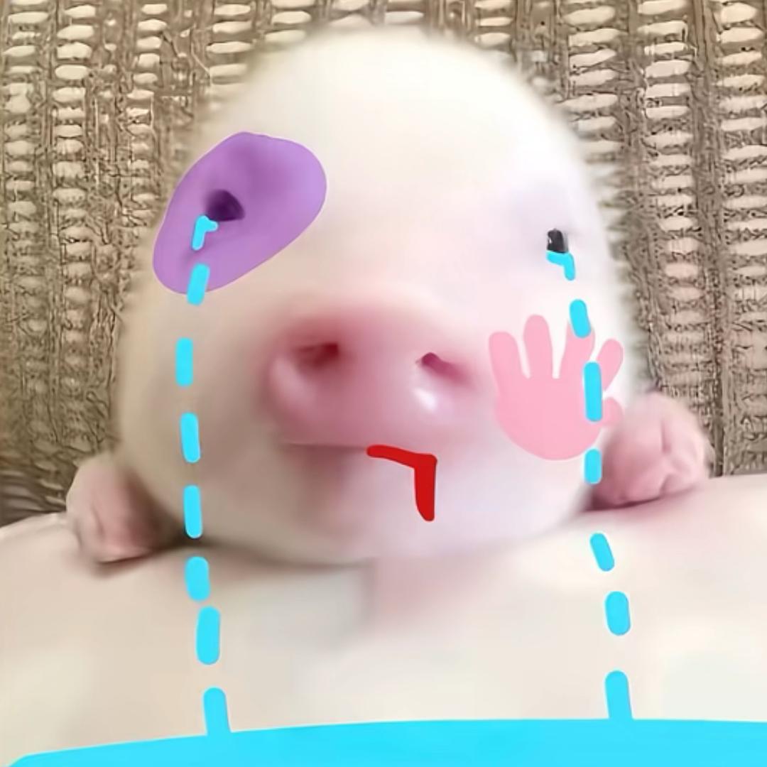 小怪不怪