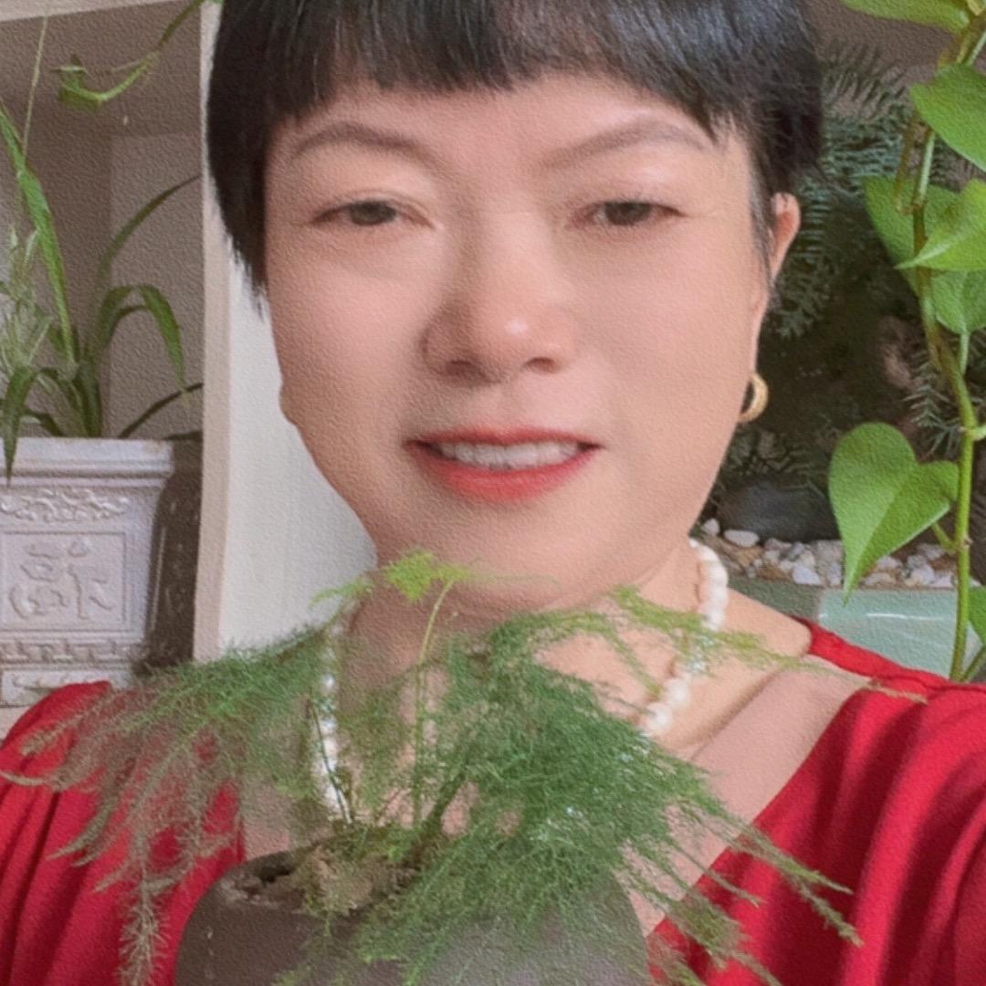 莲凤
