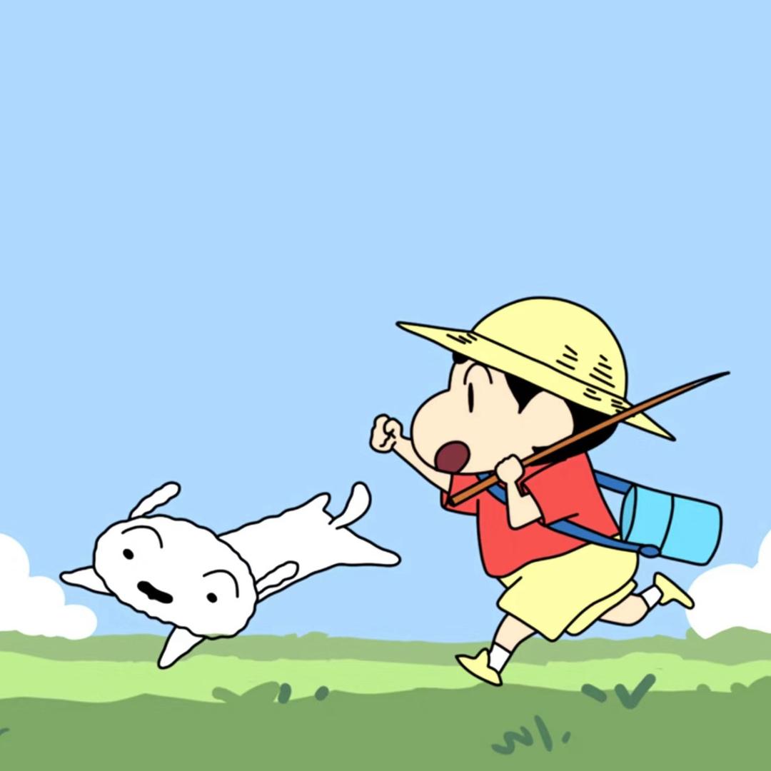 小陈不会代码🌽