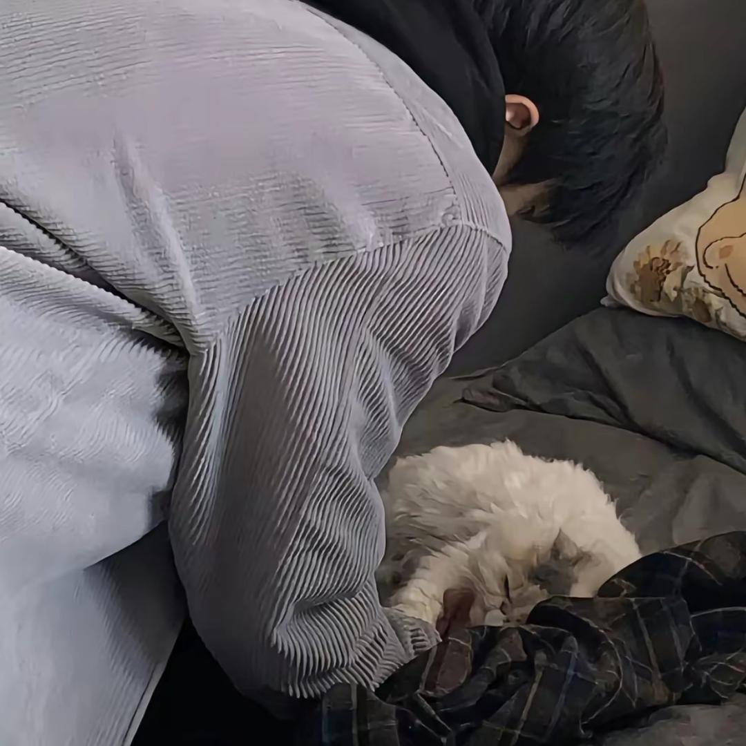 生椰拿铁🧊
